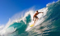 九游体育直播-绝境中的咆哮，灰熊末节狂飙，抢七生死战击落老鹰