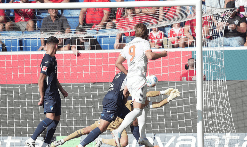 莱万多夫斯基再破门,助拜仁擒下霍芬海姆的简单介绍 莱万多夫斯基再破门,助拜仁擒下霍芬海姆的简单介绍