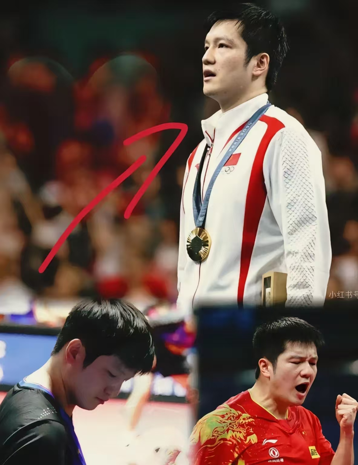 日本队逆转葡萄牙队，樊振东扛起全队